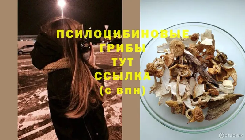 Галлюциногенные грибы Magic Shrooms  Боровск 